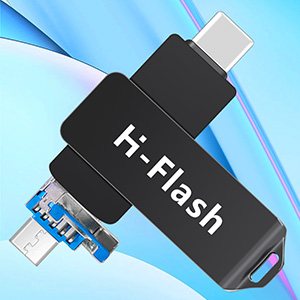 H-Flash OTGһU 01
