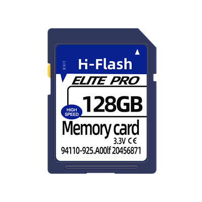 H-Flash SD memory card (01)