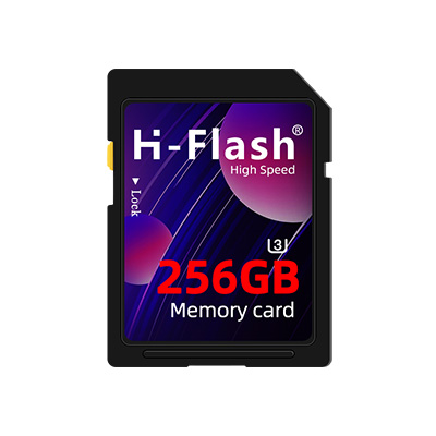 H-Flash SD memory card (05)