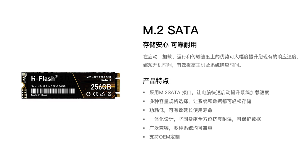 M.2 SATA